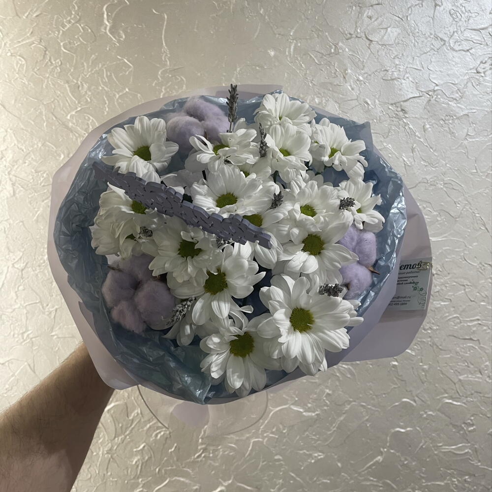 Звездная пыль