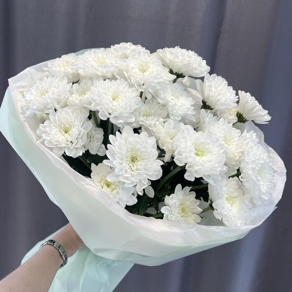 5 кустовых хризантем