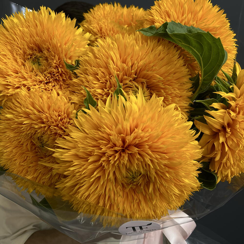 Букет «Teddy» 7pcs