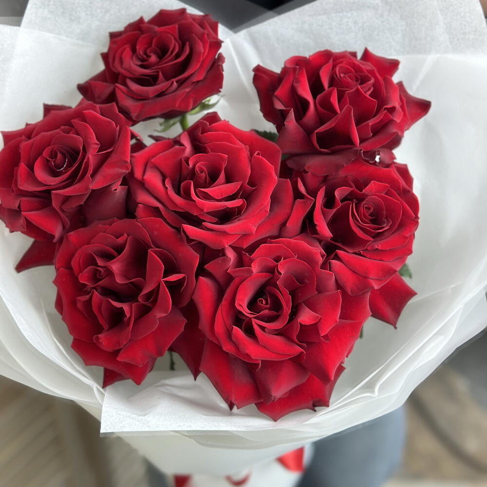 Французские розы 🌹
