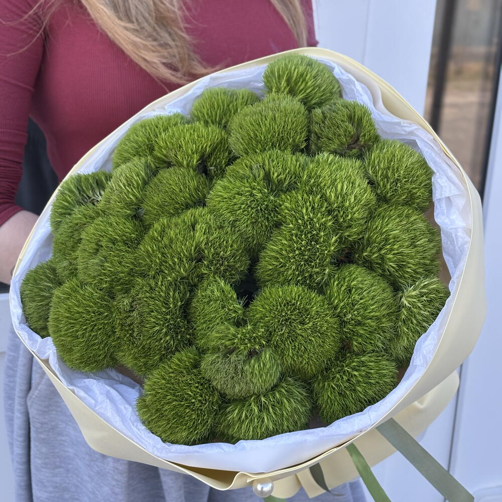 За гранью🍀🤍