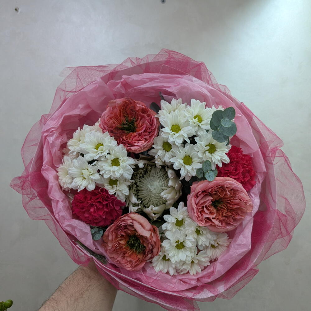 Коралловый фламинго