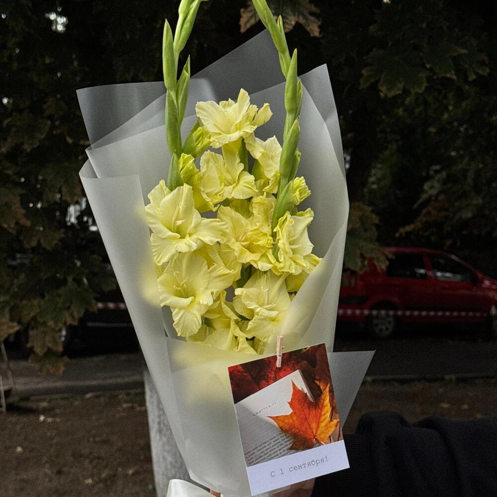 Гладиолусы на 1 сентября
