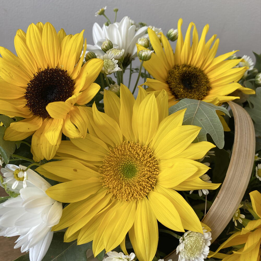 Лукошко с подсолнухами 🌻