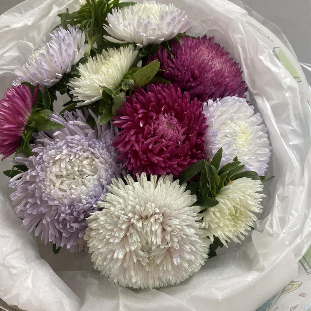 Букет астр
