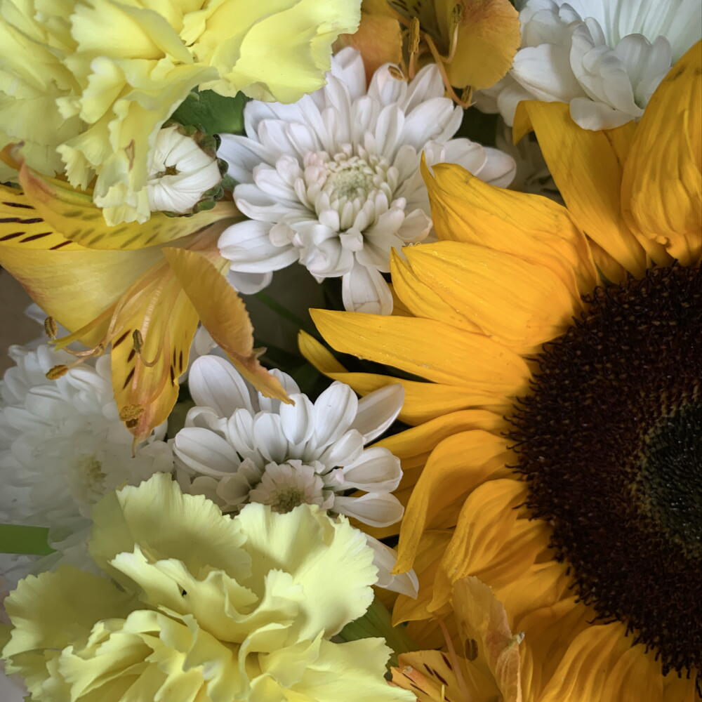 Сумочка с подсолнухом🌻