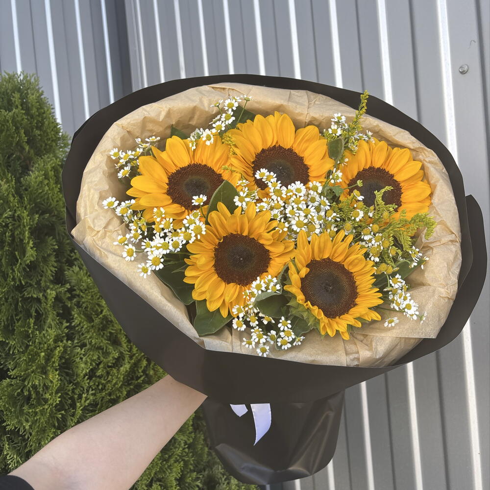 Подсолнухи 🌻