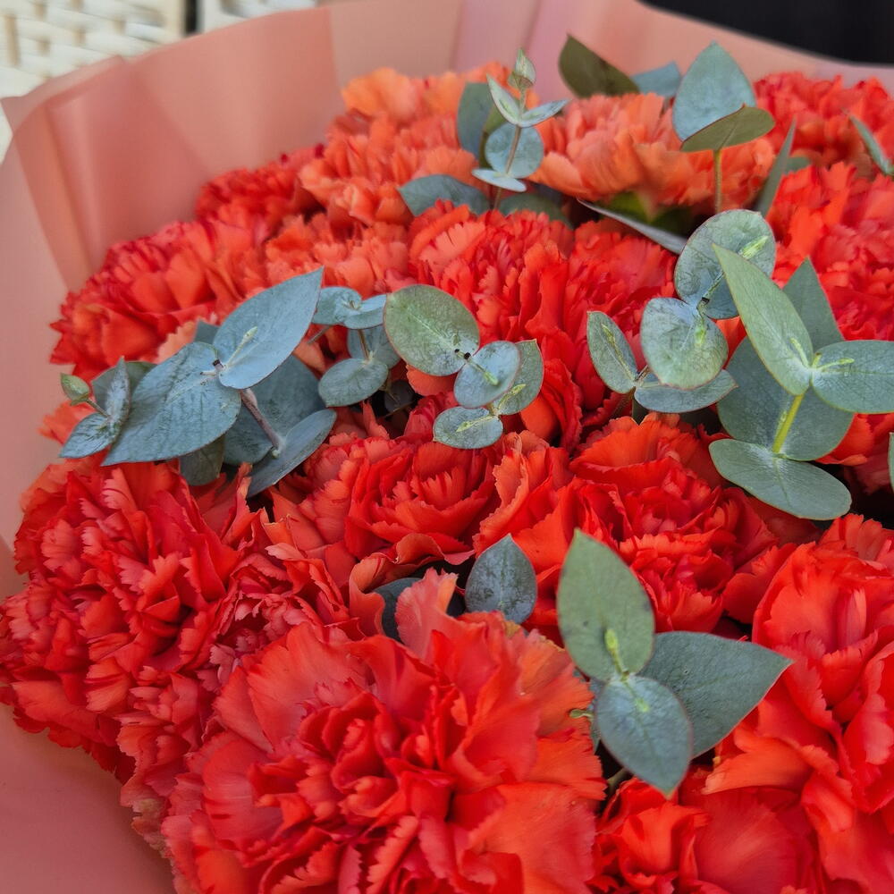 Коралловый поцелуй 🧡 (гвоздика 31шт)