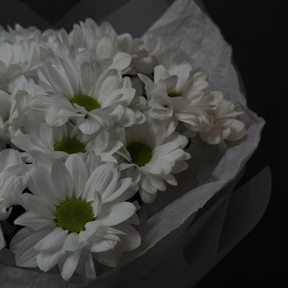 Букет-комплимент с кустовой хризантемой ромашкой