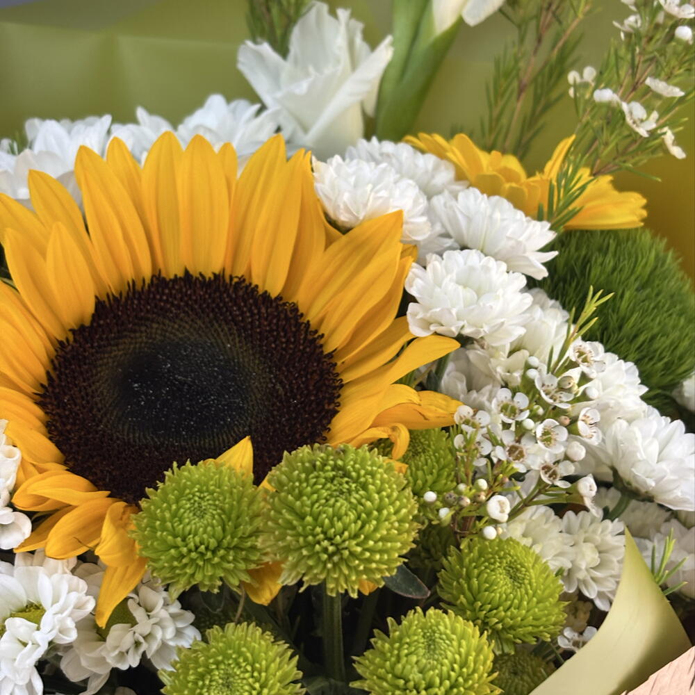 Поцелуй солнца🌻