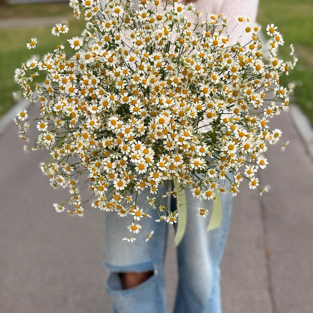 Букет ромашек