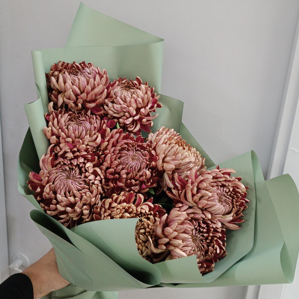 Хризантемы сезонные