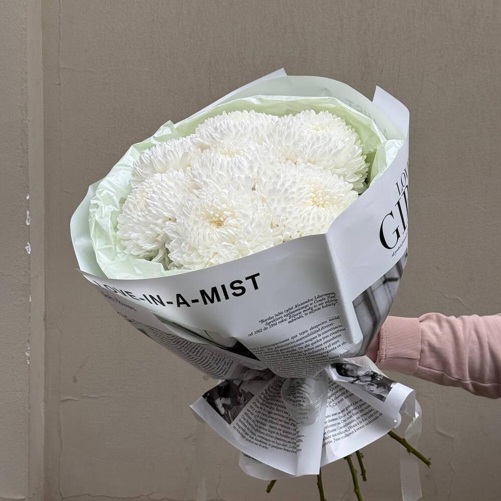 White chrysanthemums bigudi