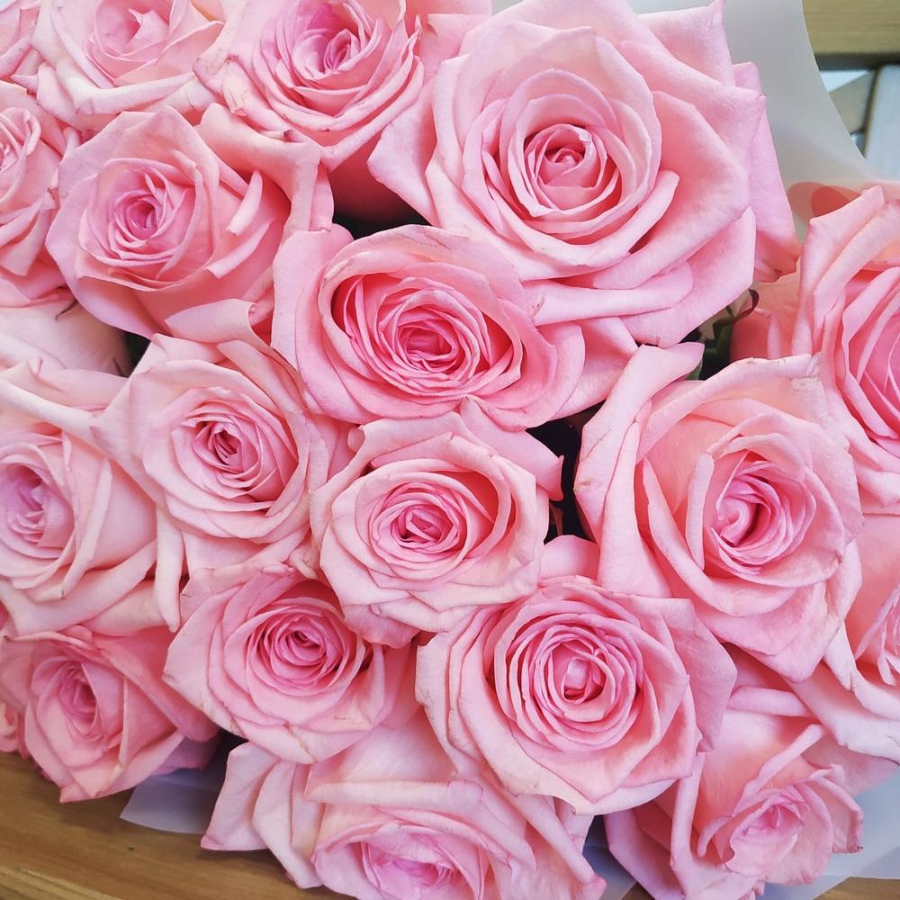 Розовые розы 🌺 ( 17 шт)