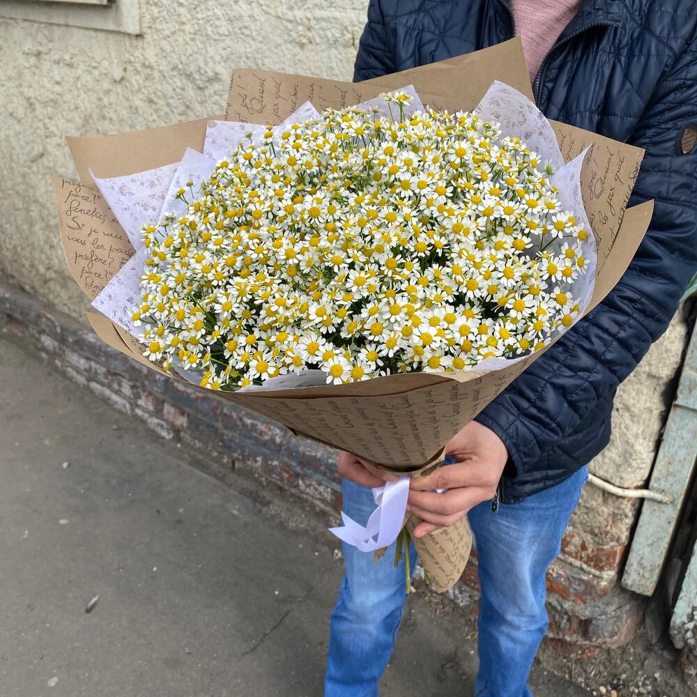Ромашка ромашка