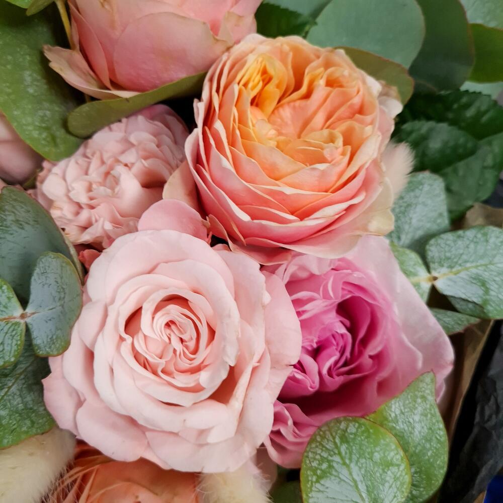 Beauty Roses в крафте