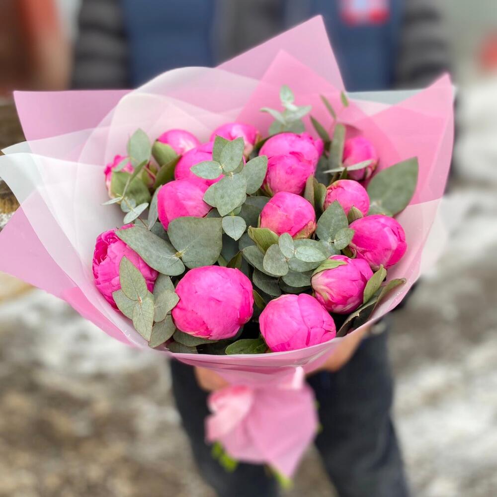 Пионы малиновые пионы Флеминг