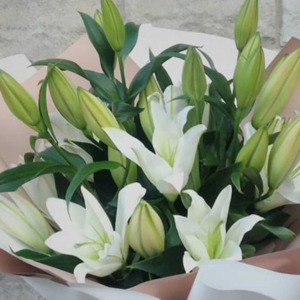 Lily