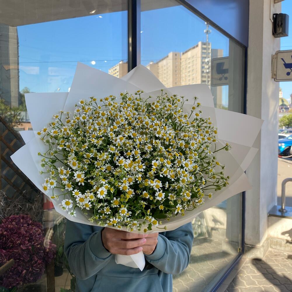 Ромашки
