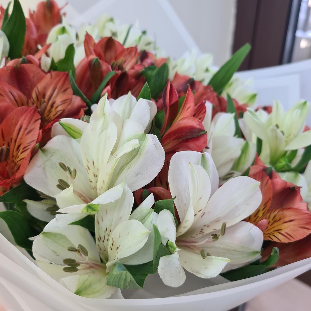Ramo de delicada alstroemeria