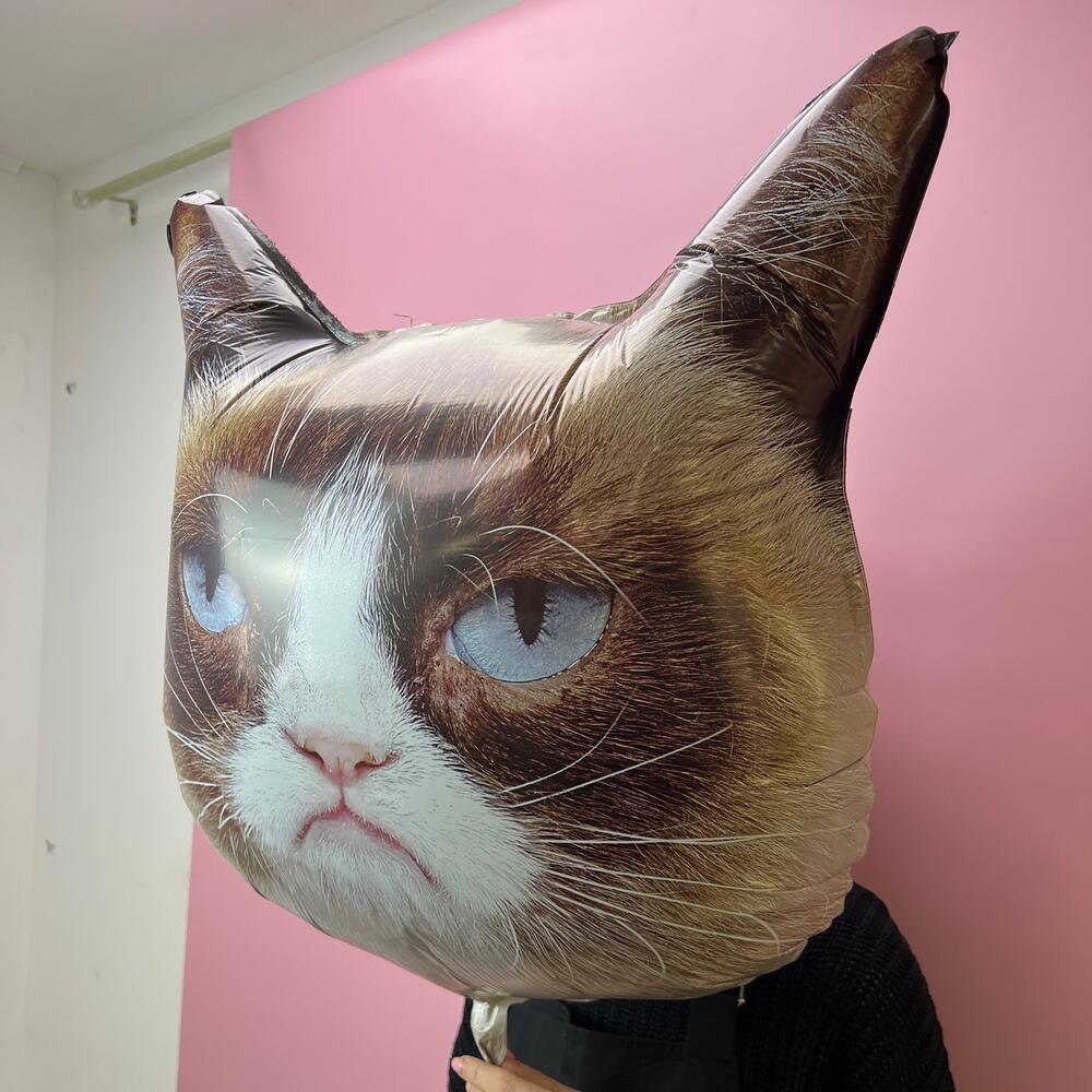 Кошечка сердитая