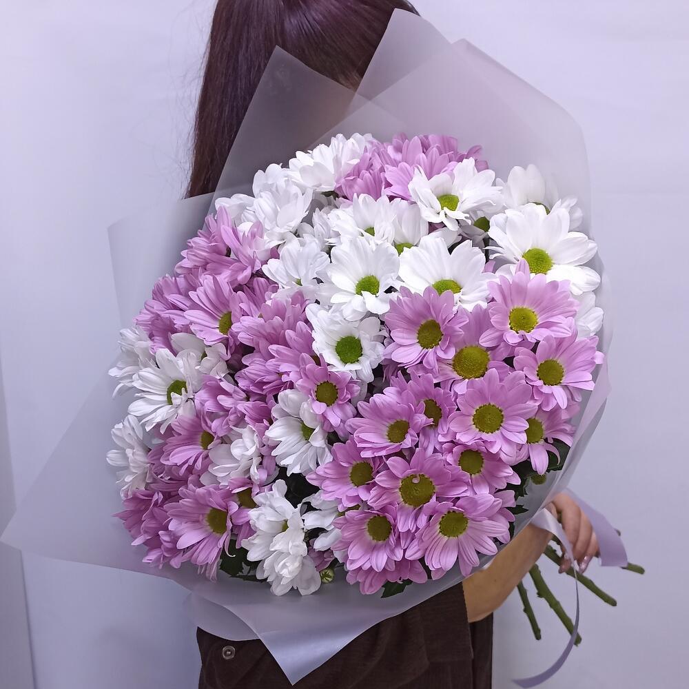💐Хризантема