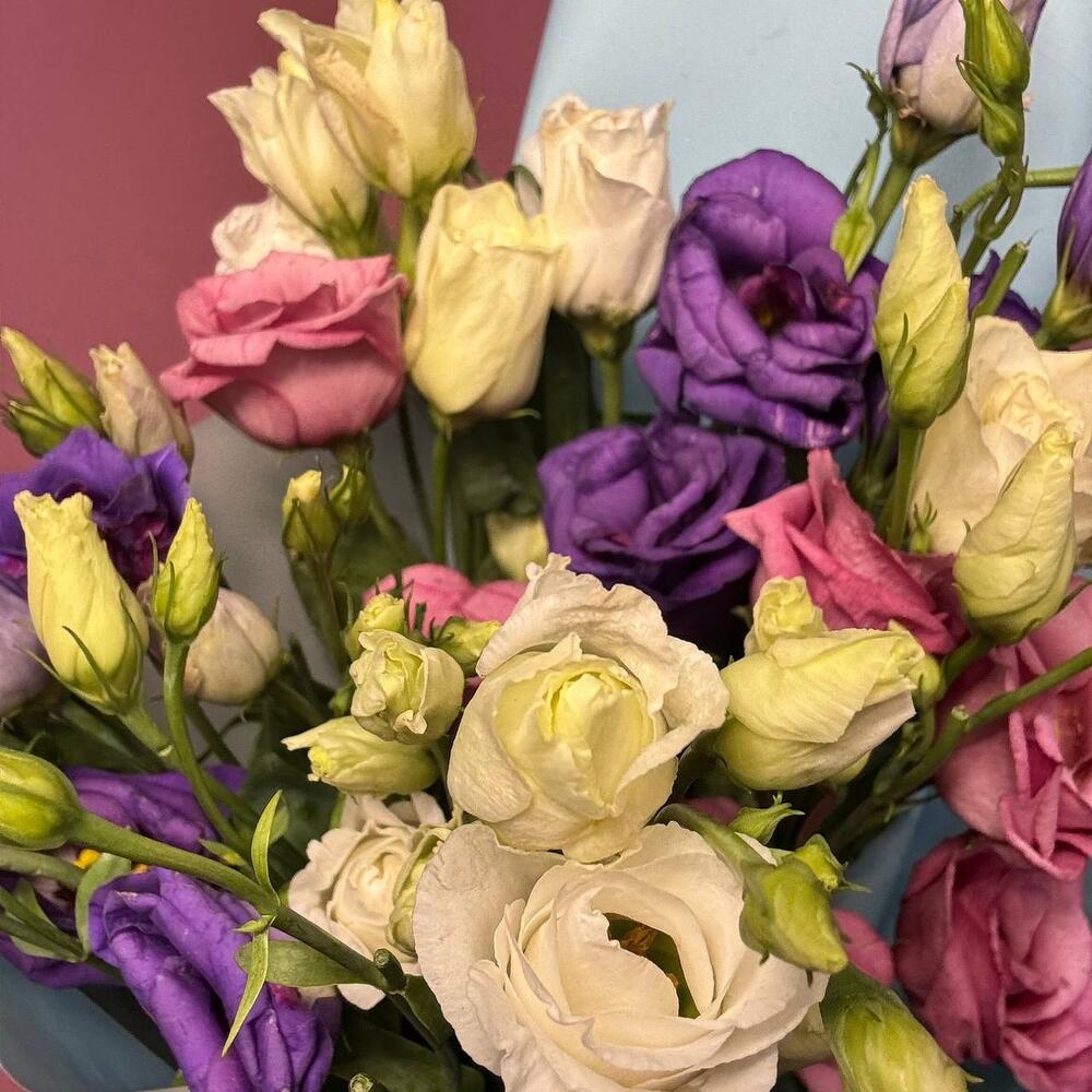 Bouquet of eustoma