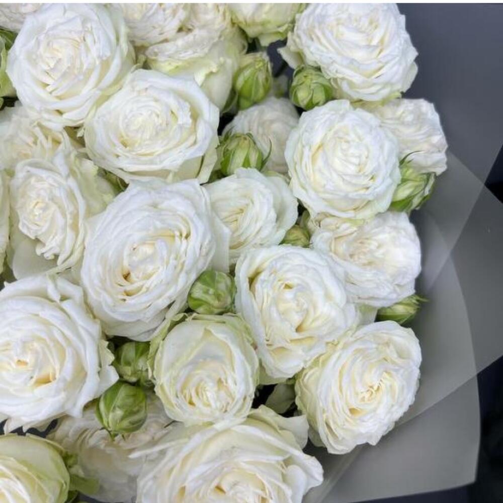 Bouquet of white peony-shaped bush roses 11 pcs