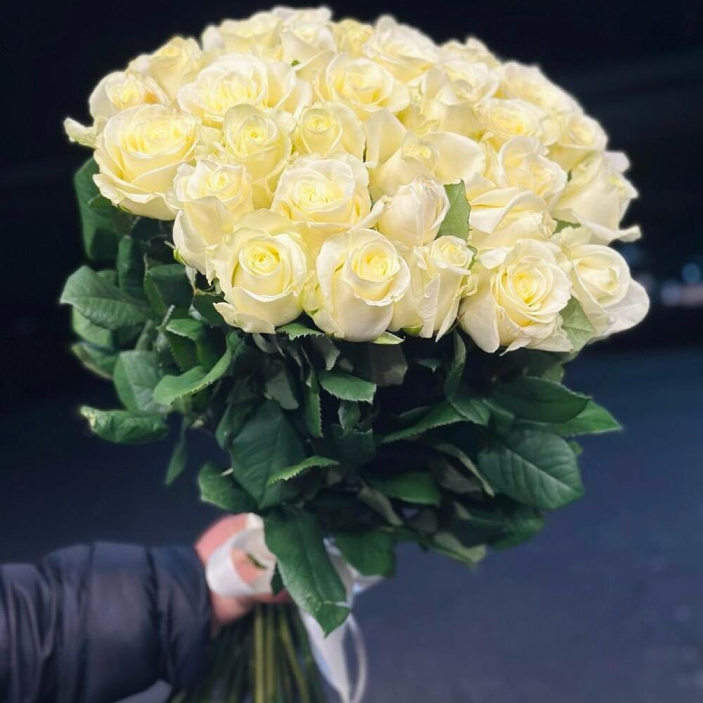 Rose bianche di lusso 31pcs 80cm