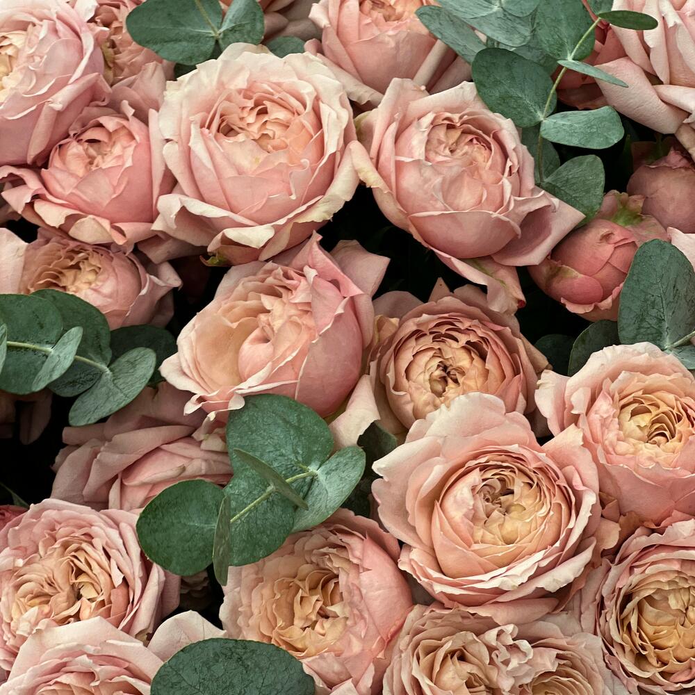 Spray Roses Bouquet N-03