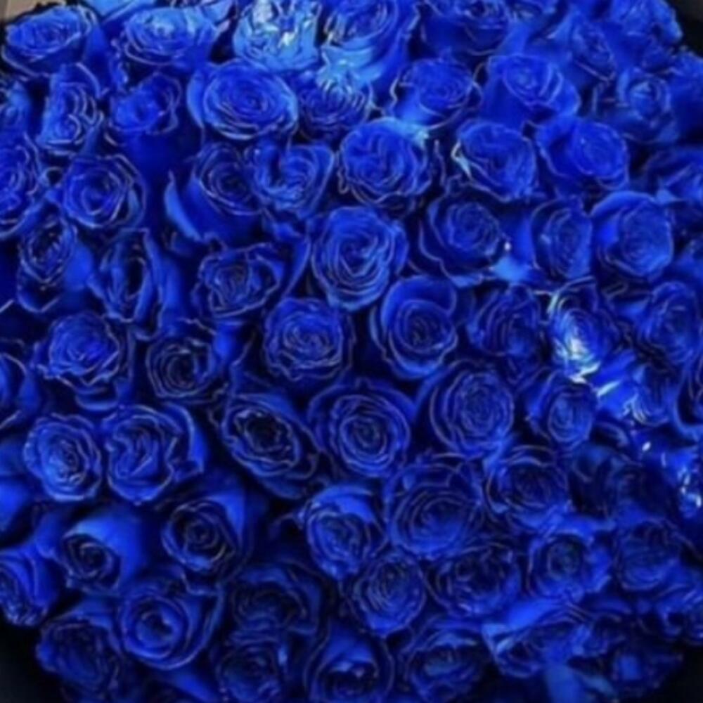 🔵роза