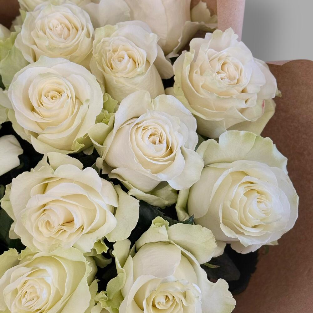 Bouquet of 21 white roses Ecuador