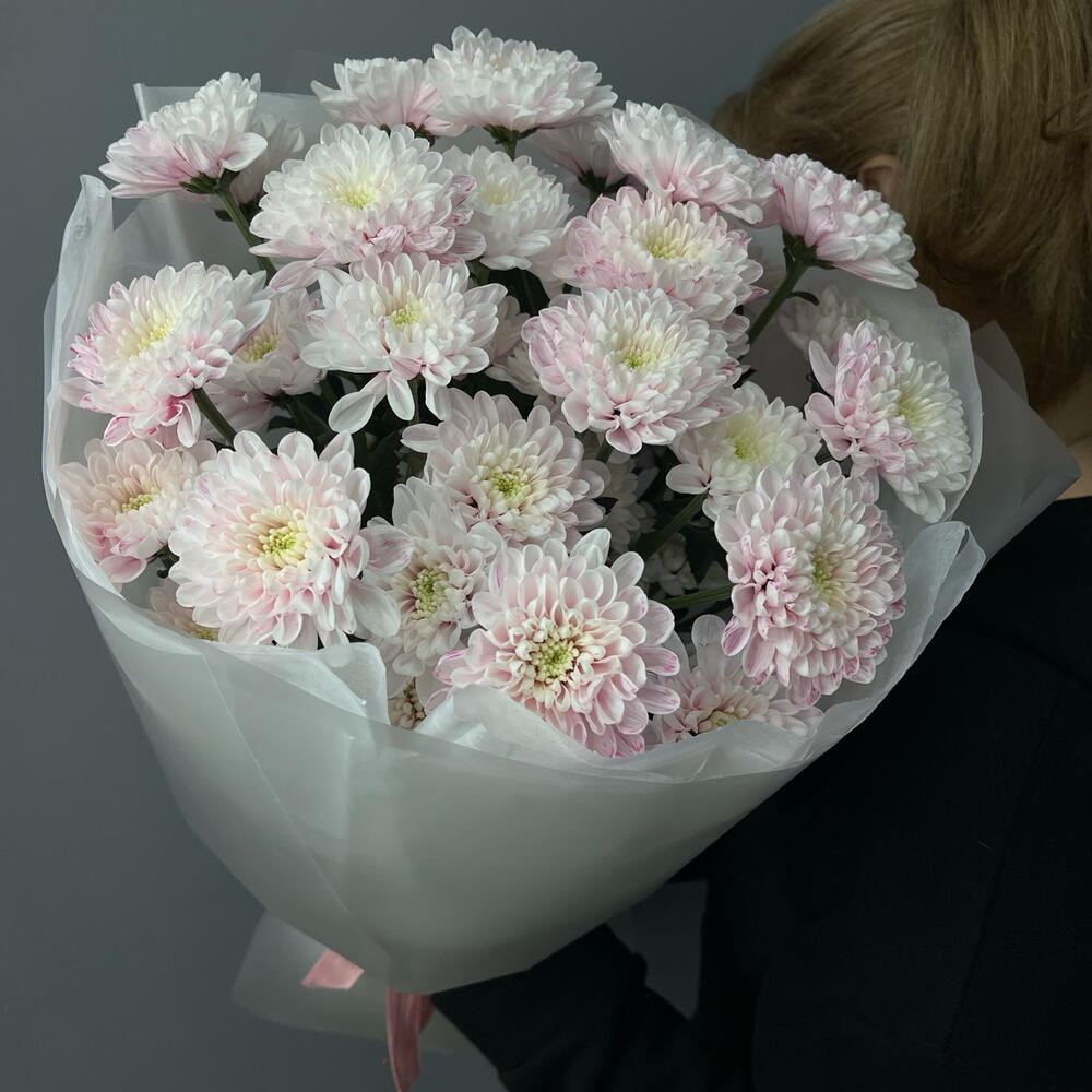 🌸 Хризантема кустовая «Розовый Вуаль»