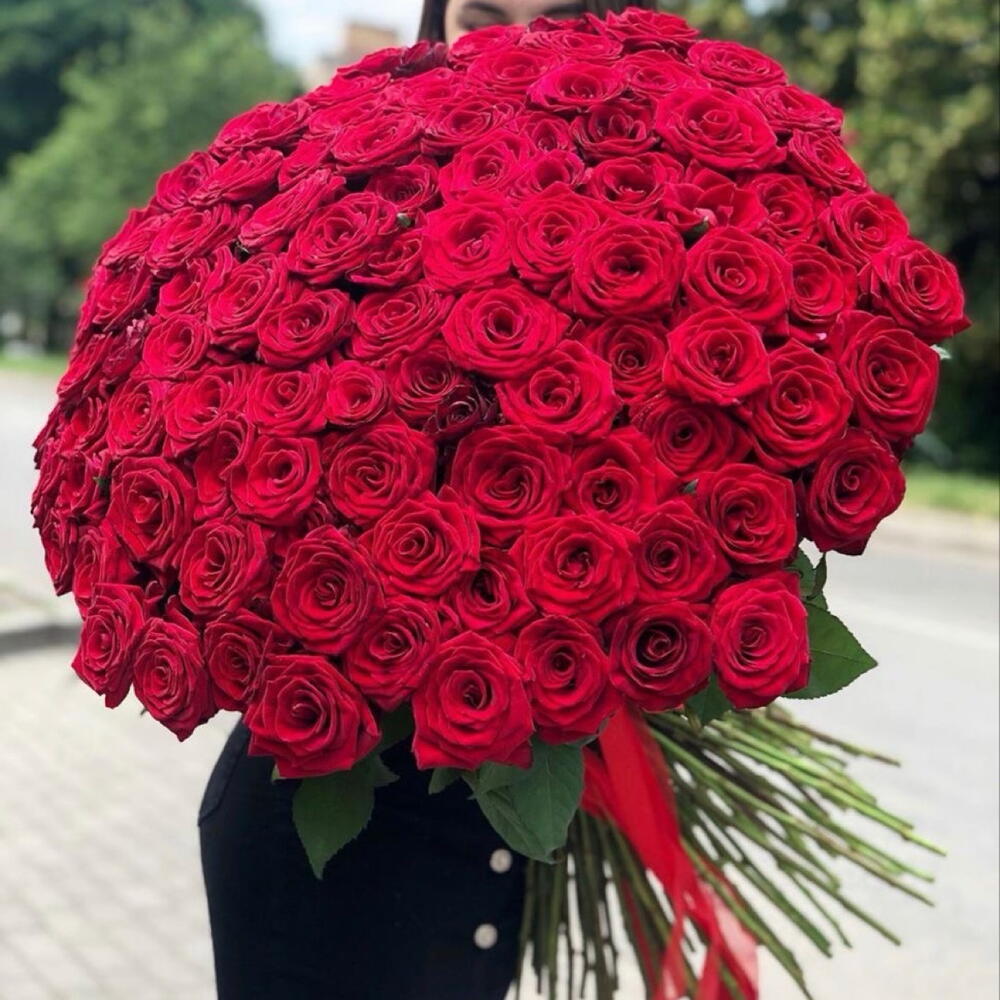 101 Роза эквадор