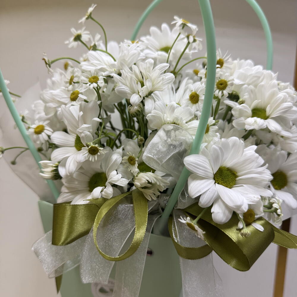 Ромашки дуэт