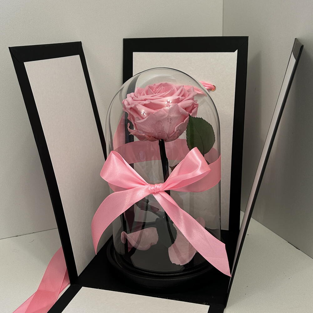 Живая роза в колбе Mini розовая, 20*10, черная подарочная коробка
