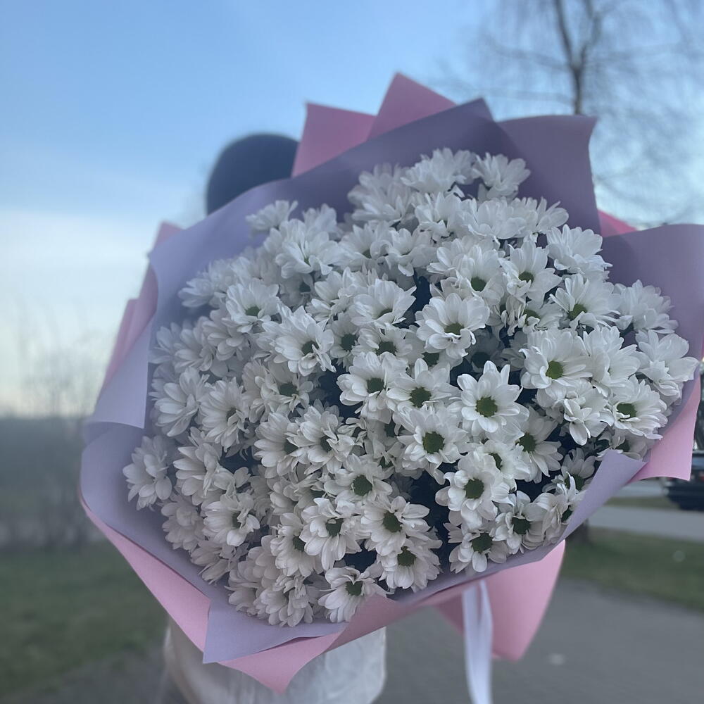 ~151 ромашка