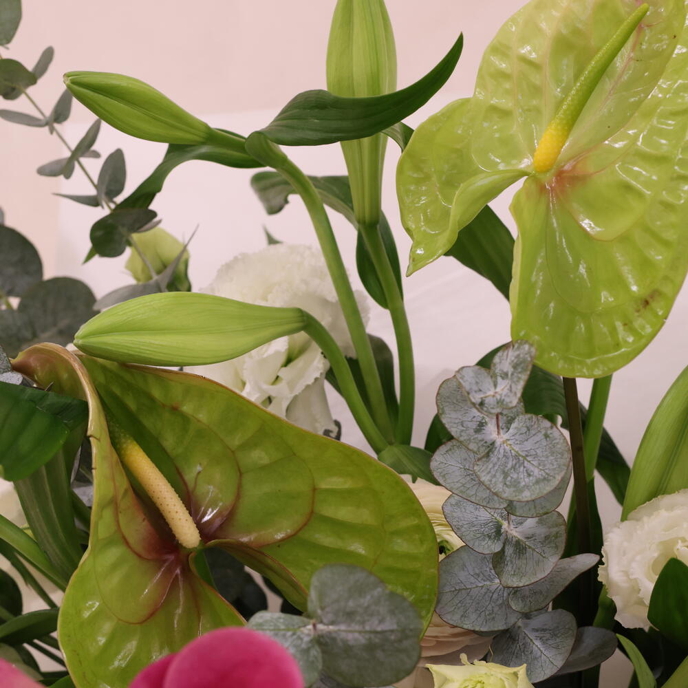 Blush   Green размер XL