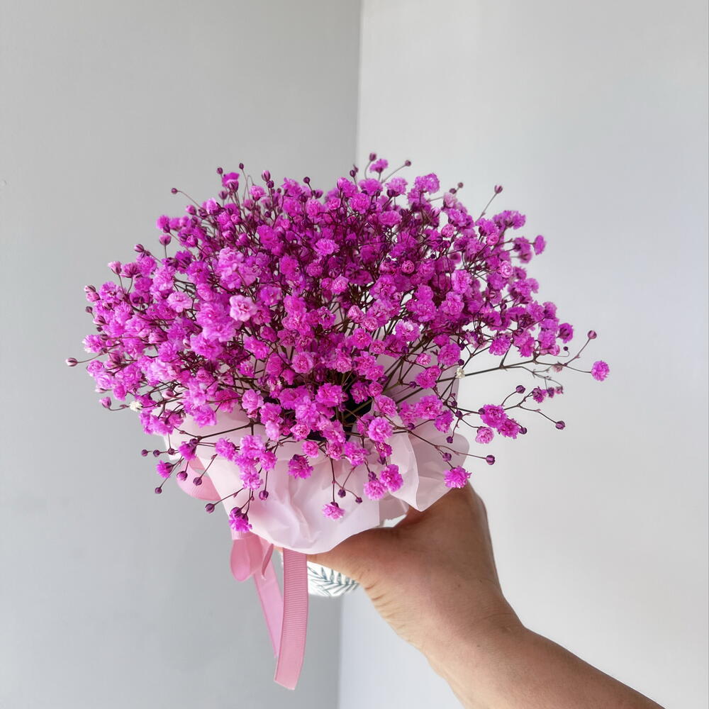 Композиция из гипсофилы