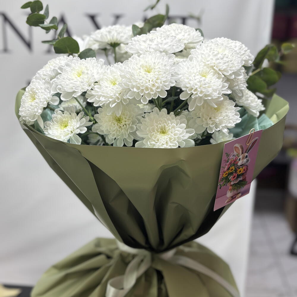 white bush chrysanthemum