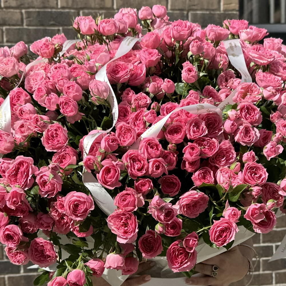 Giant box with Sophie shrub roses