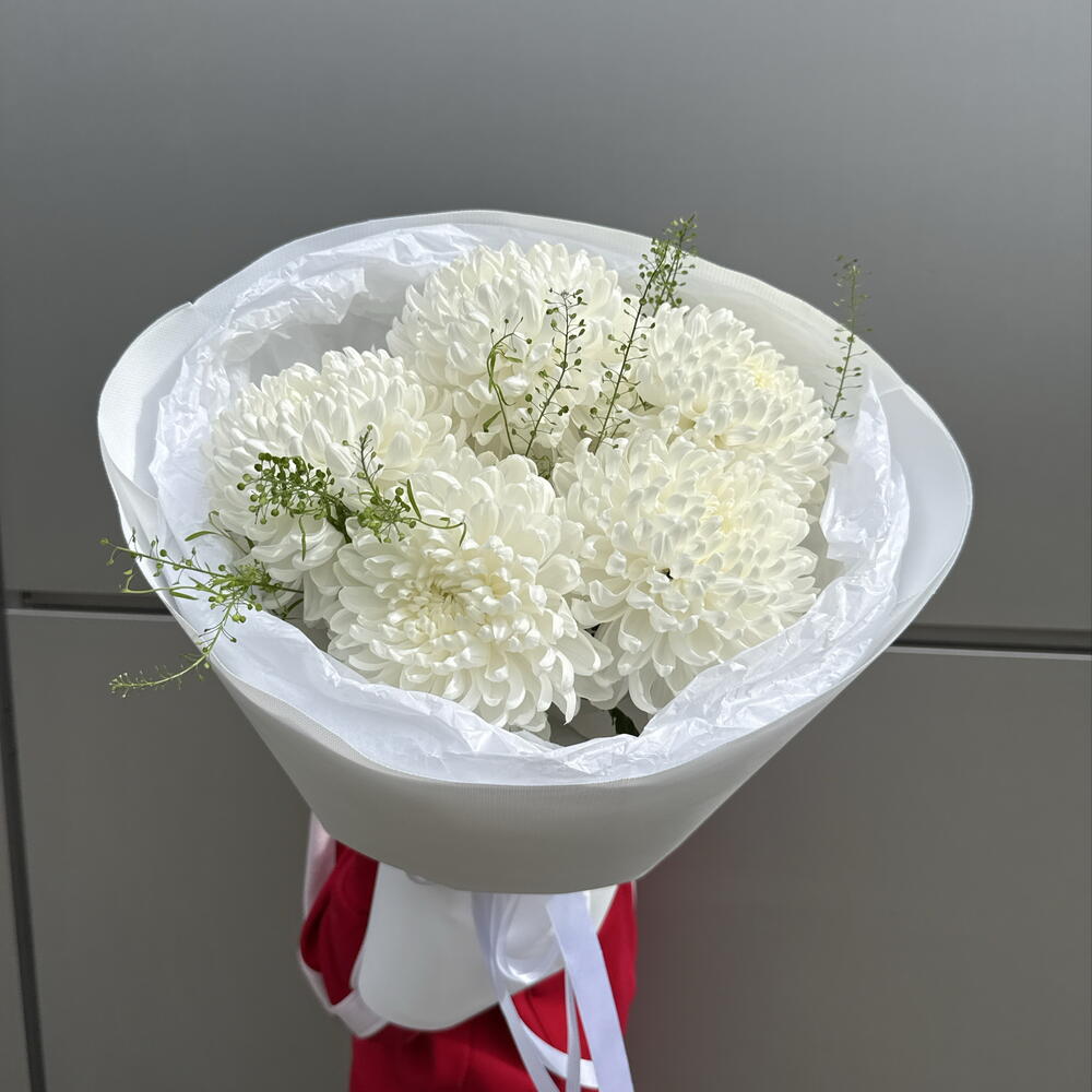 Хризантемы белые «Облако»💐