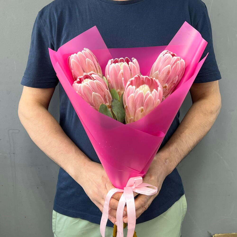 Протея в яркой упаковке 🌺