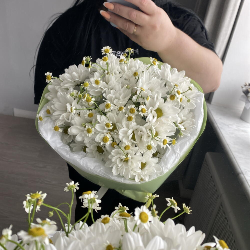 Ромашки