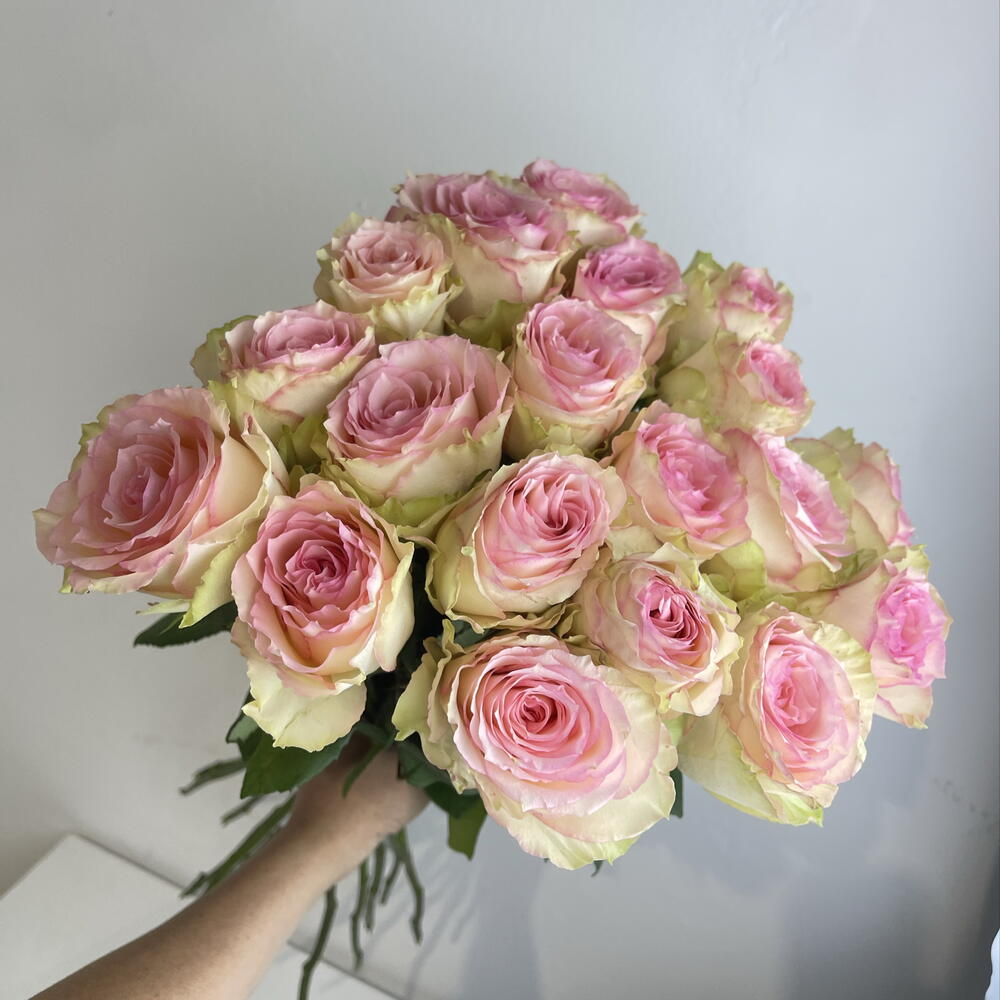 Розы нежные 🌸19