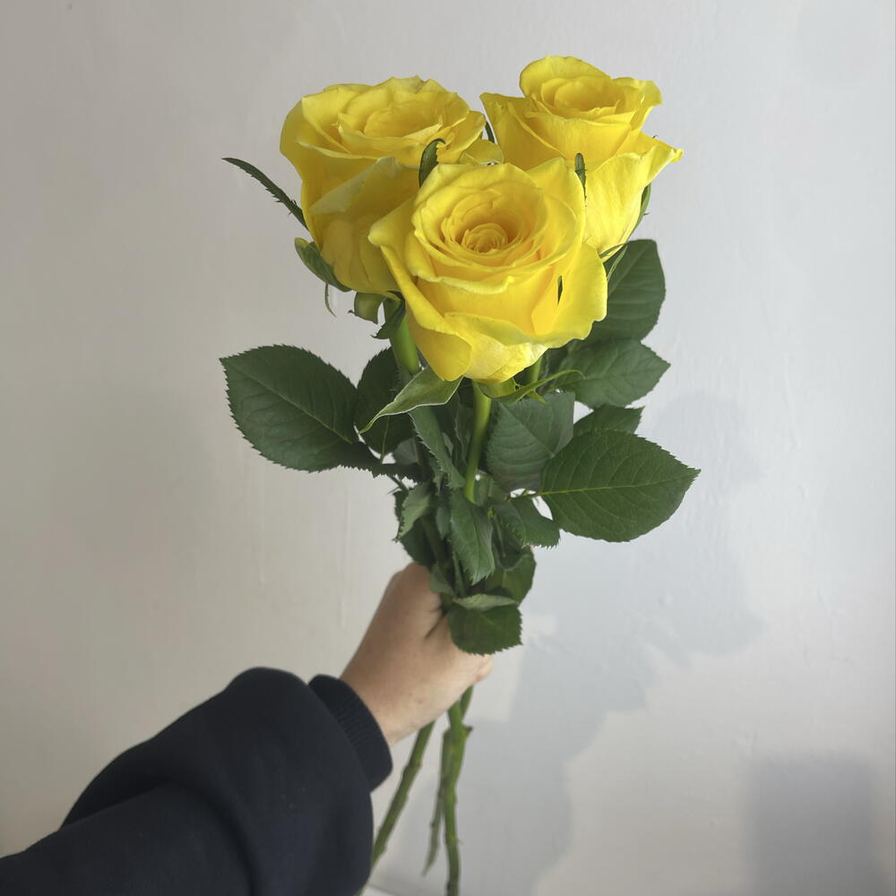 Розы жёлтые 💛 3
