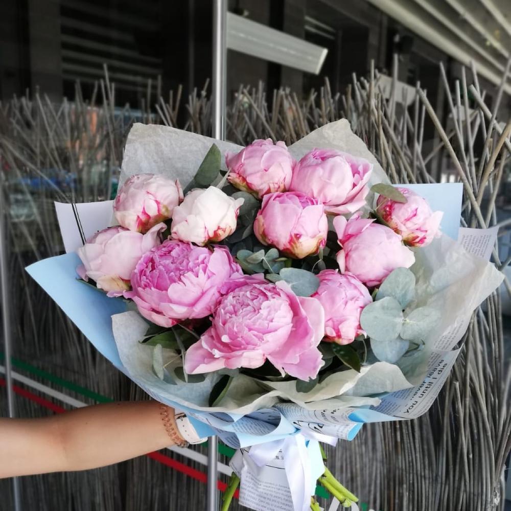 Нежно розовые пионы 💞