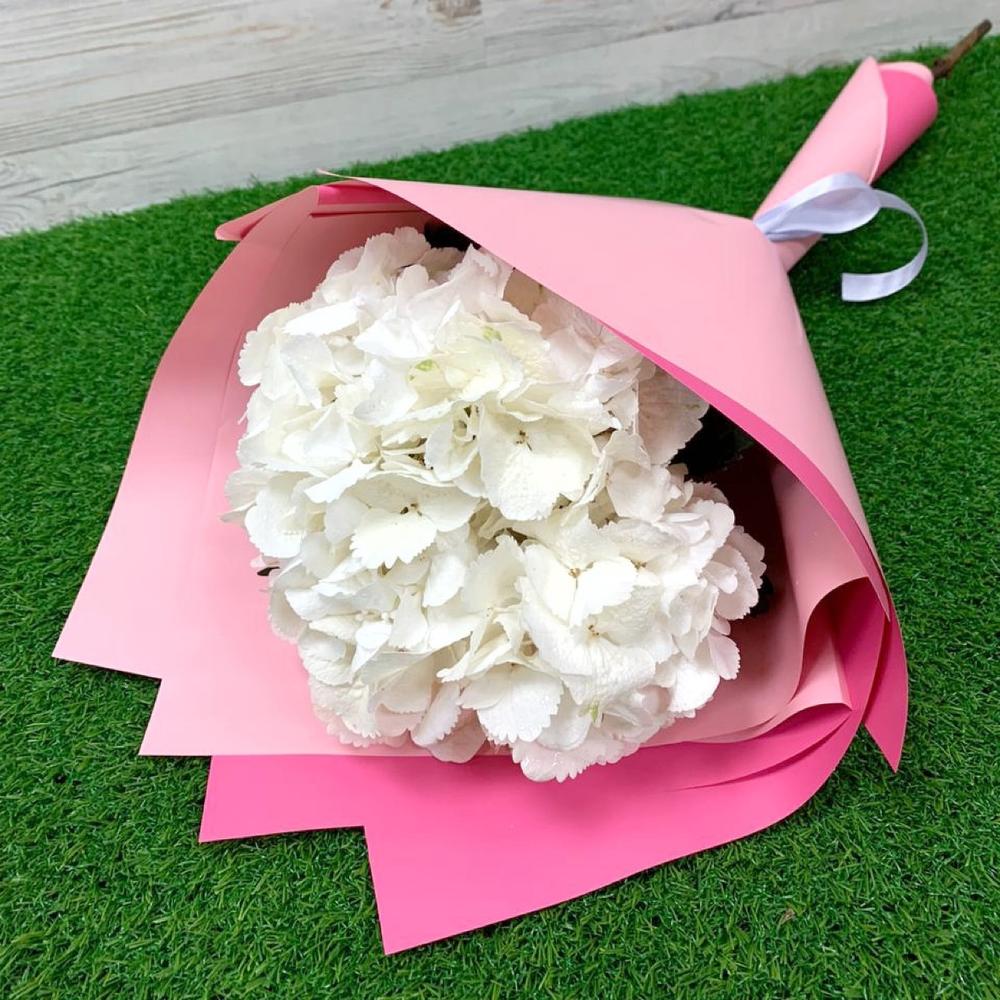 Упаковать гортензию своими руками. Упаковать гортензию своими руками. Упаковка цветов в крафтовую бумагу. Букет "3 гортензии". Мини букет с гортензией.