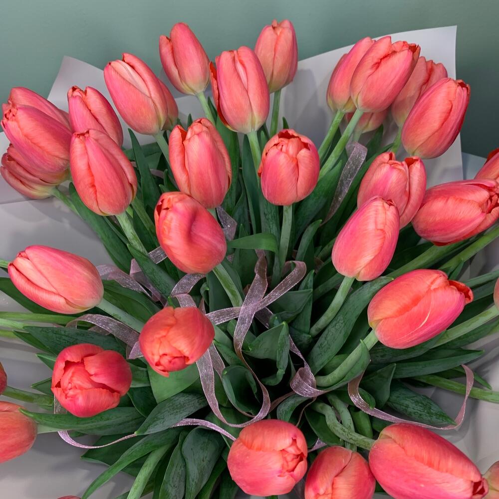 Тюльпан 51 ❣️