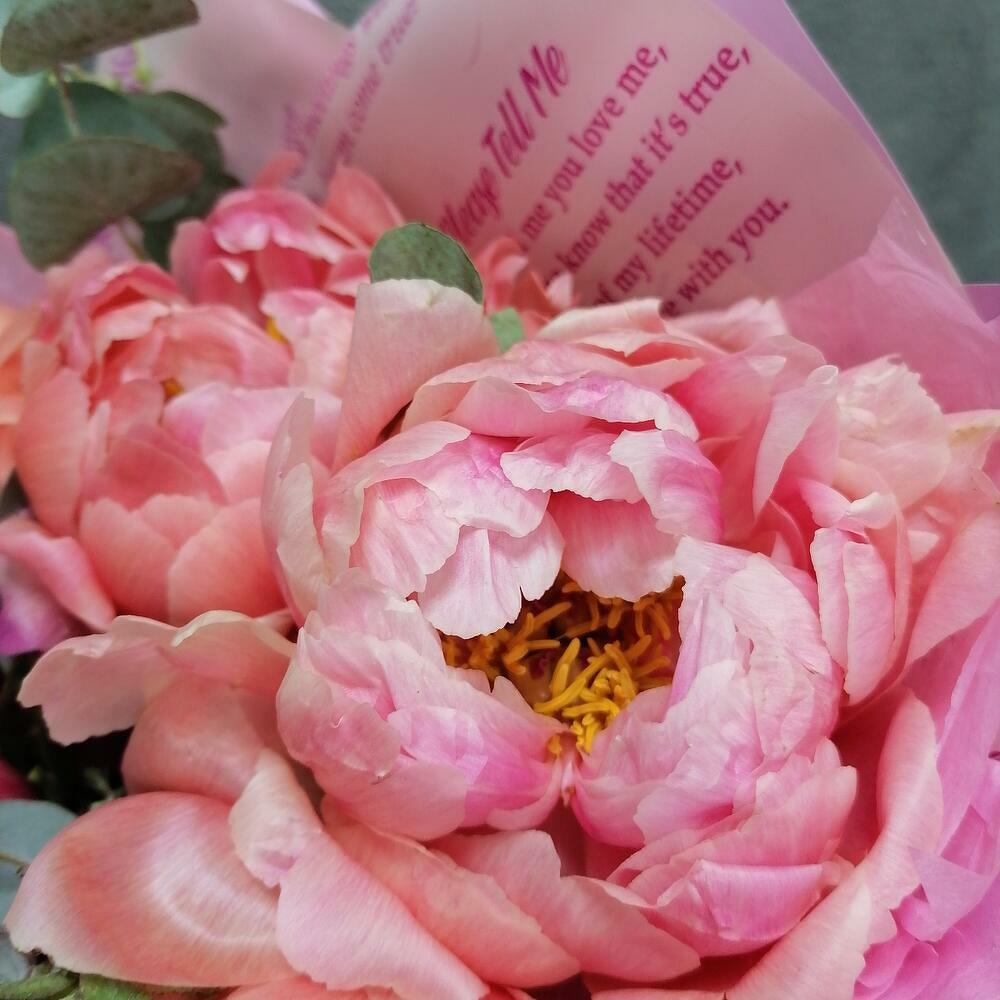 5 delicate peonies💞